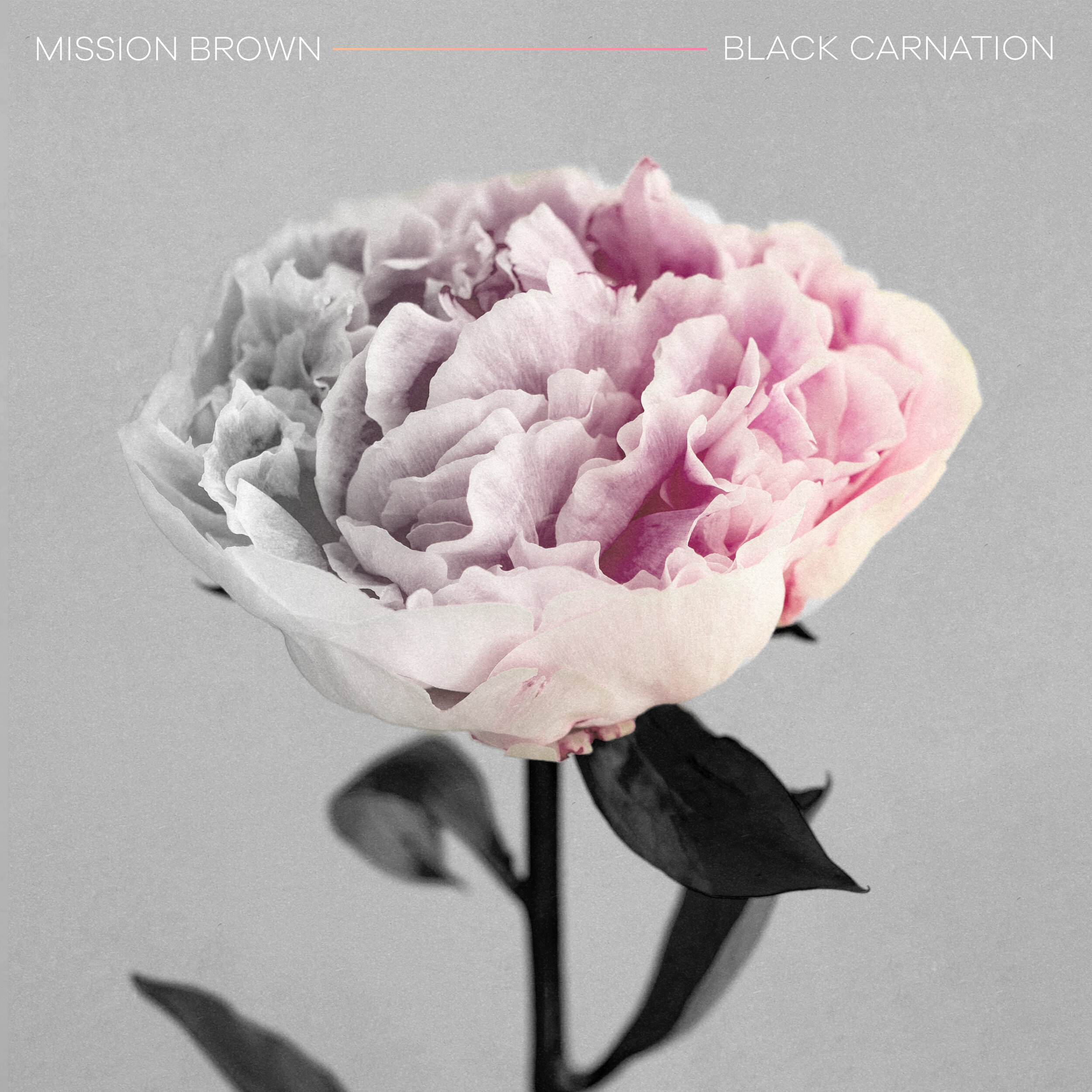Mission Brown - Black Carnation Artwork.jpg