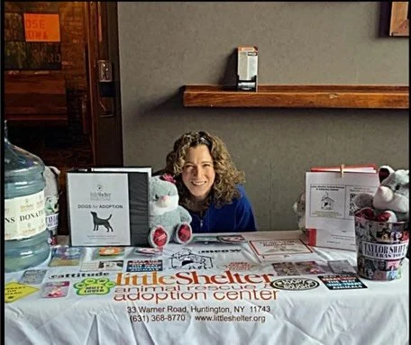 &ldquo;Little Shelter was eager to team up with Twinkle Arts for Good and the Laurie Berkner Band! $1,545 was raised to help all of our animals including Haypenny a 12 year old Yorkie/Maltese mix who is suffering from diabetes, and Valerie, a white a