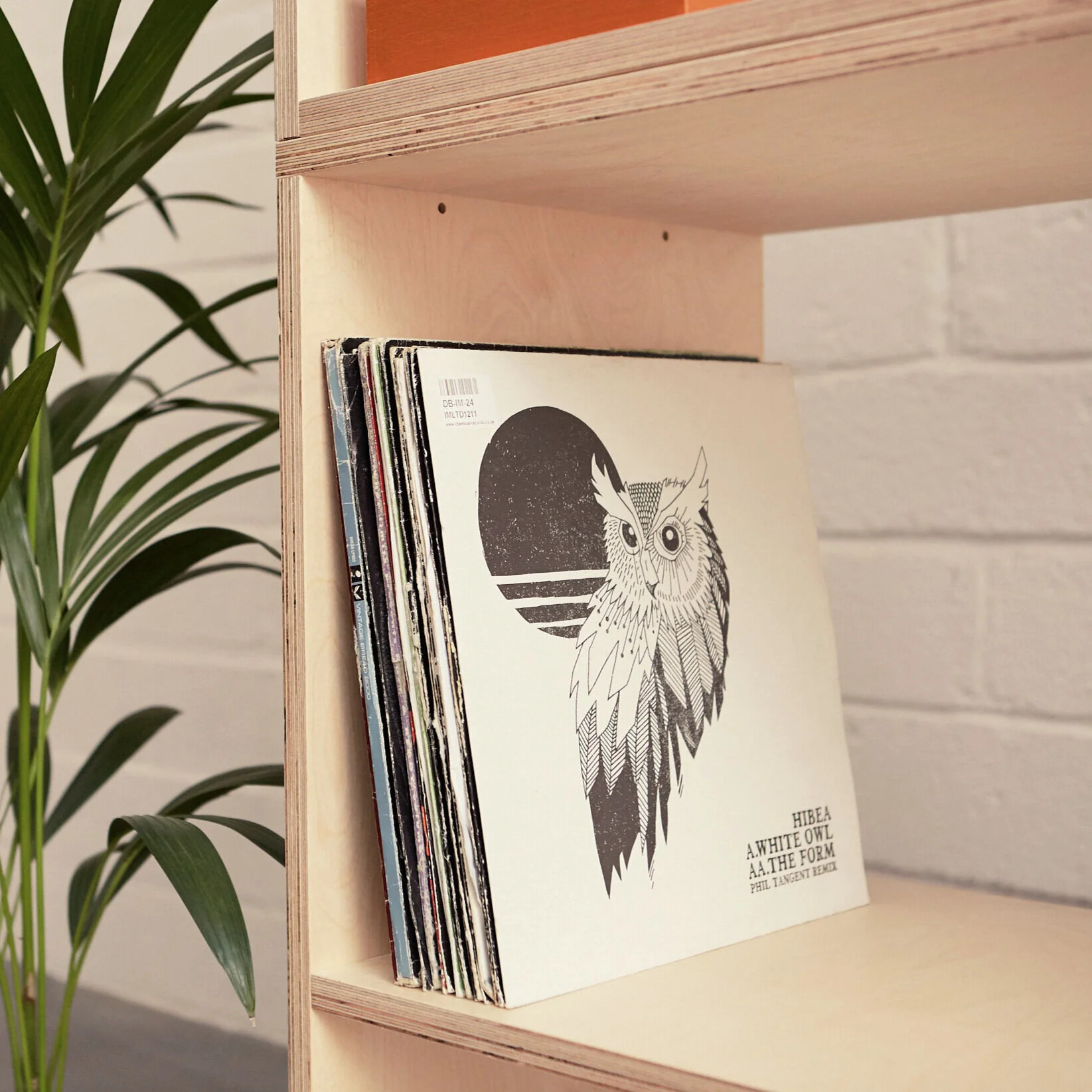 records on shelf