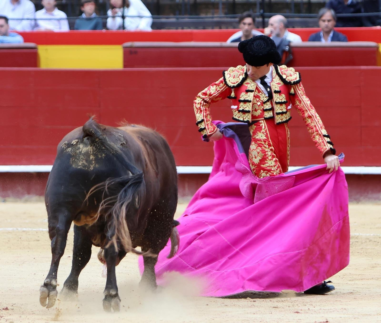 Vicente Barrera & Alberto Donaire return to Valencia