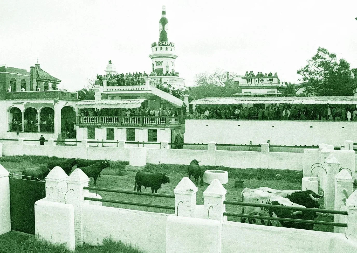 Can Madrid’s El Batán learn from Sevilla’s La Venta de Antequera?