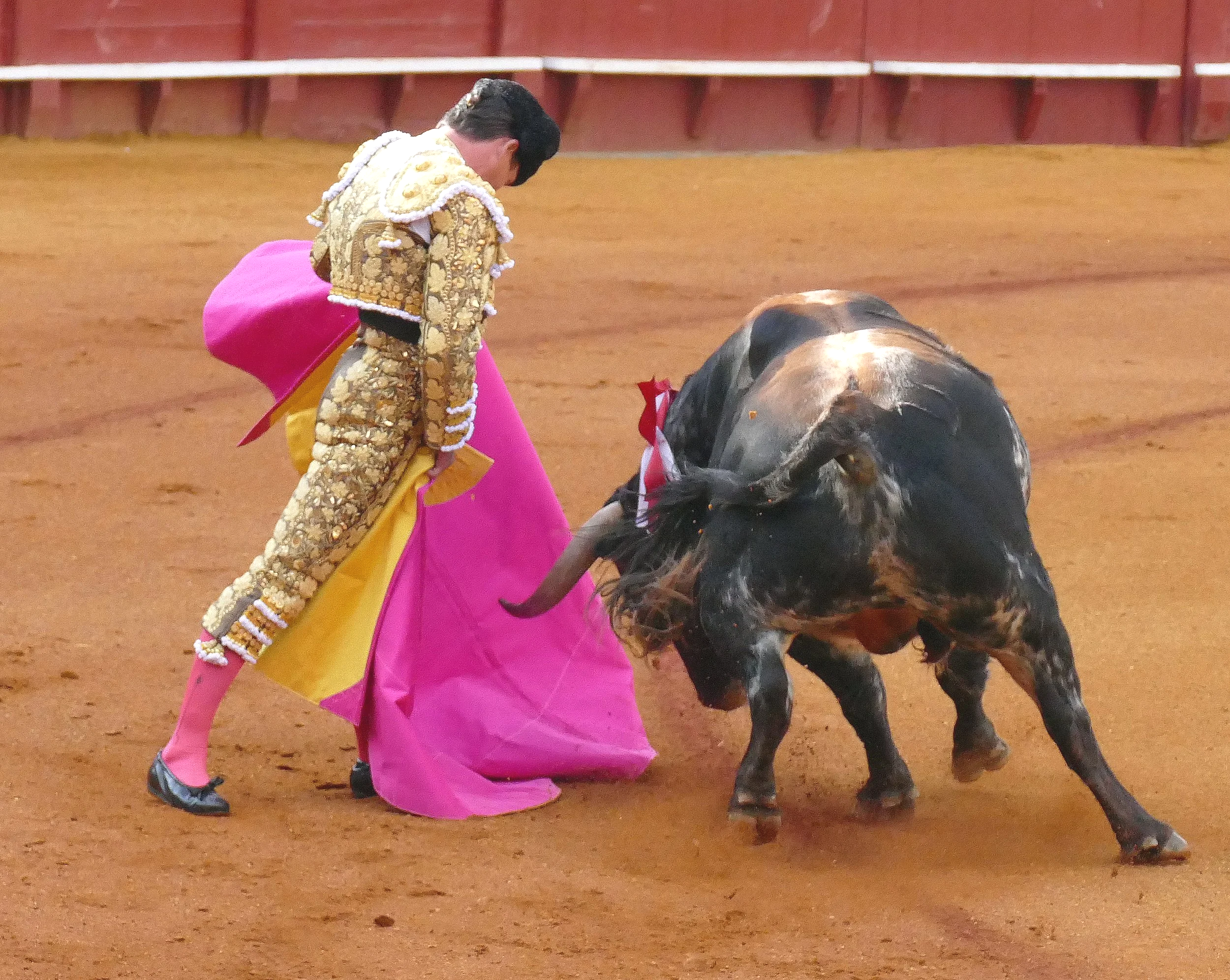 Diego Urdiales - King of the North
