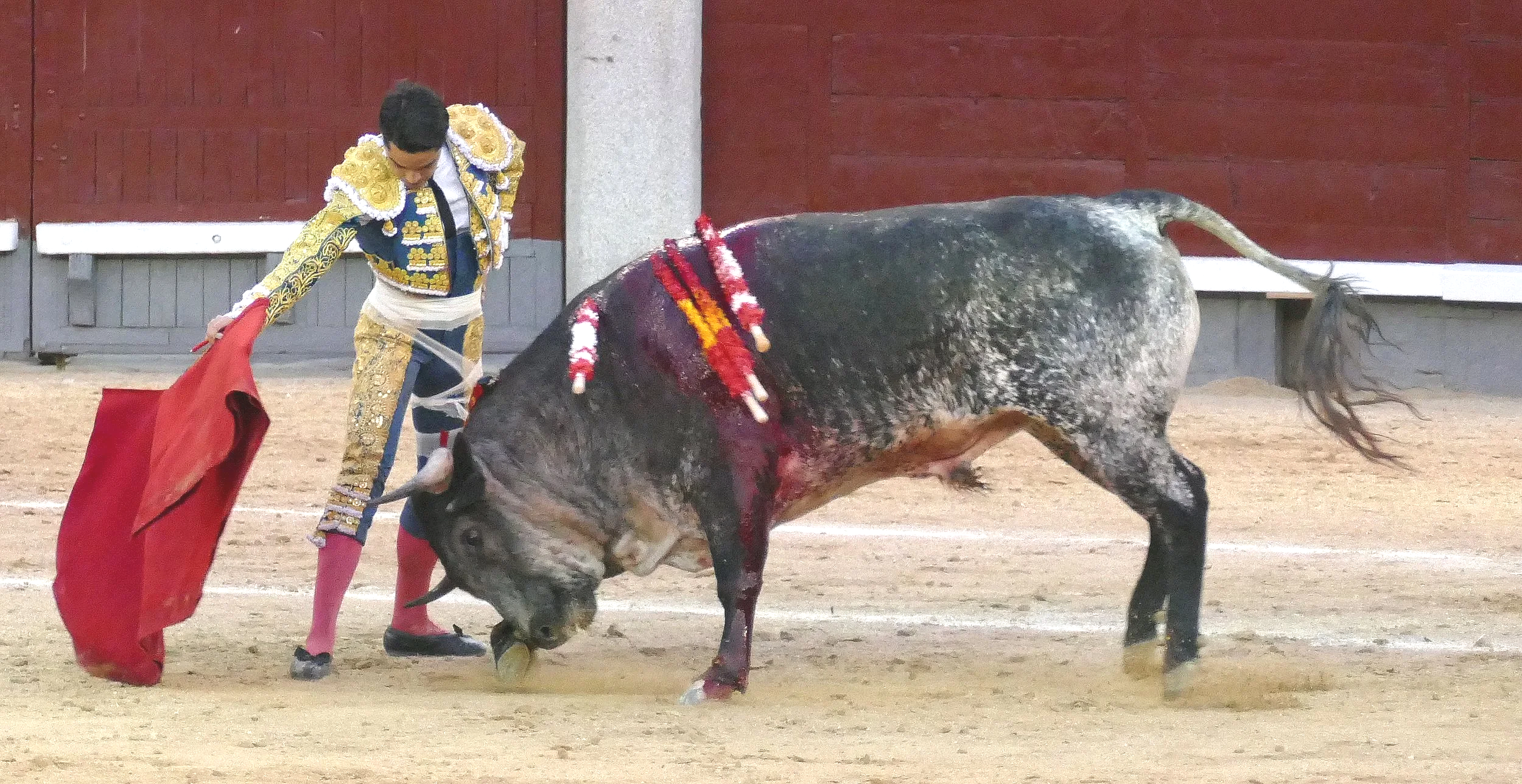 Las Ventas and the challenges facing today’s novilleros
