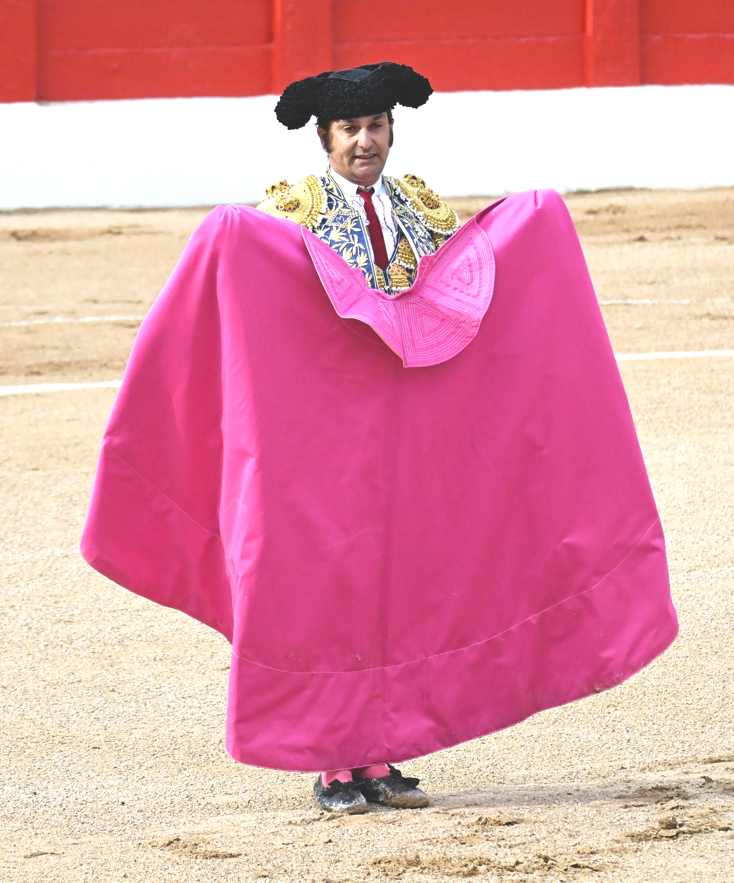 Bullfighting – heading for a famine?