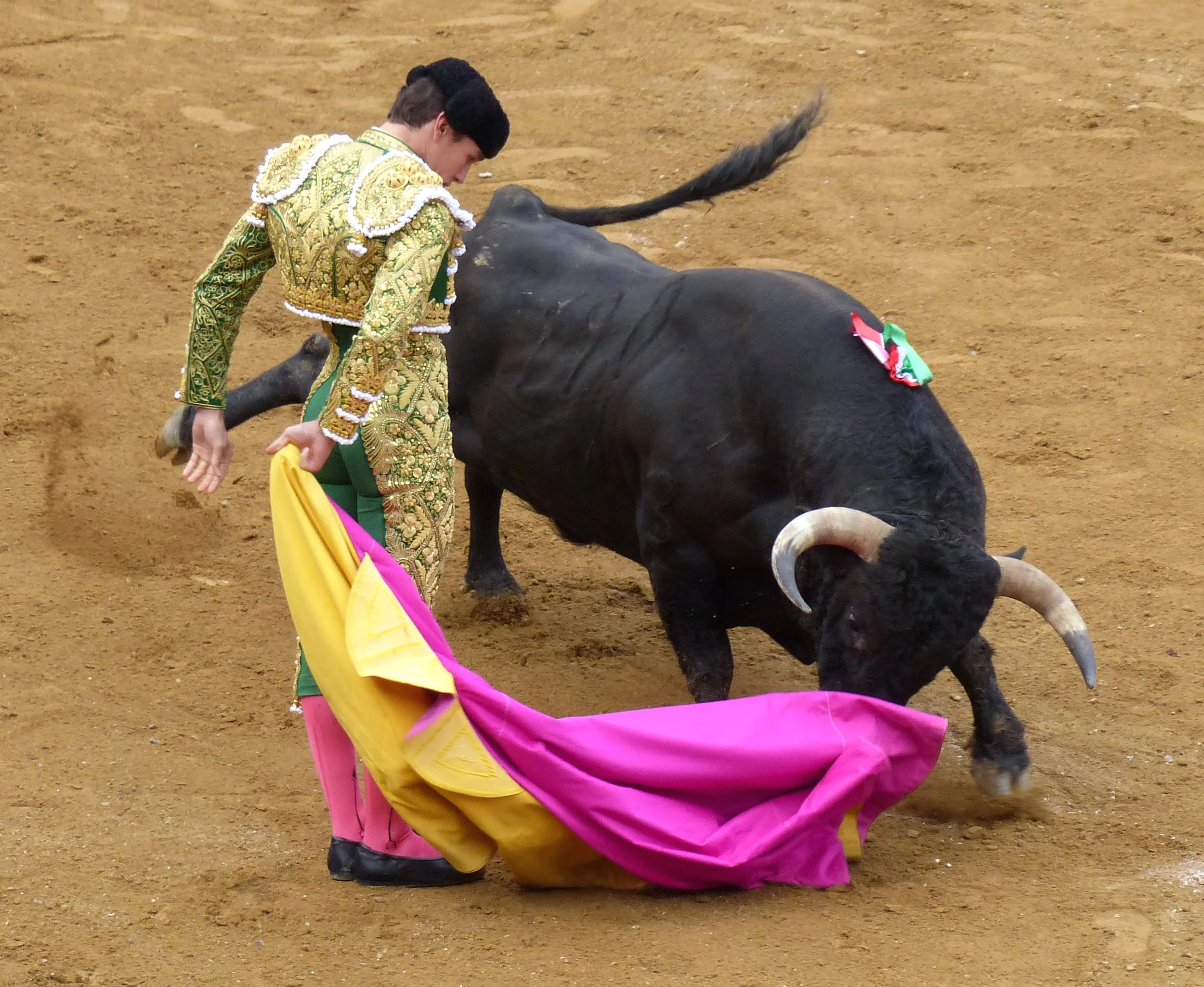 Ginés Marín - under the stopwatch’s long shadow