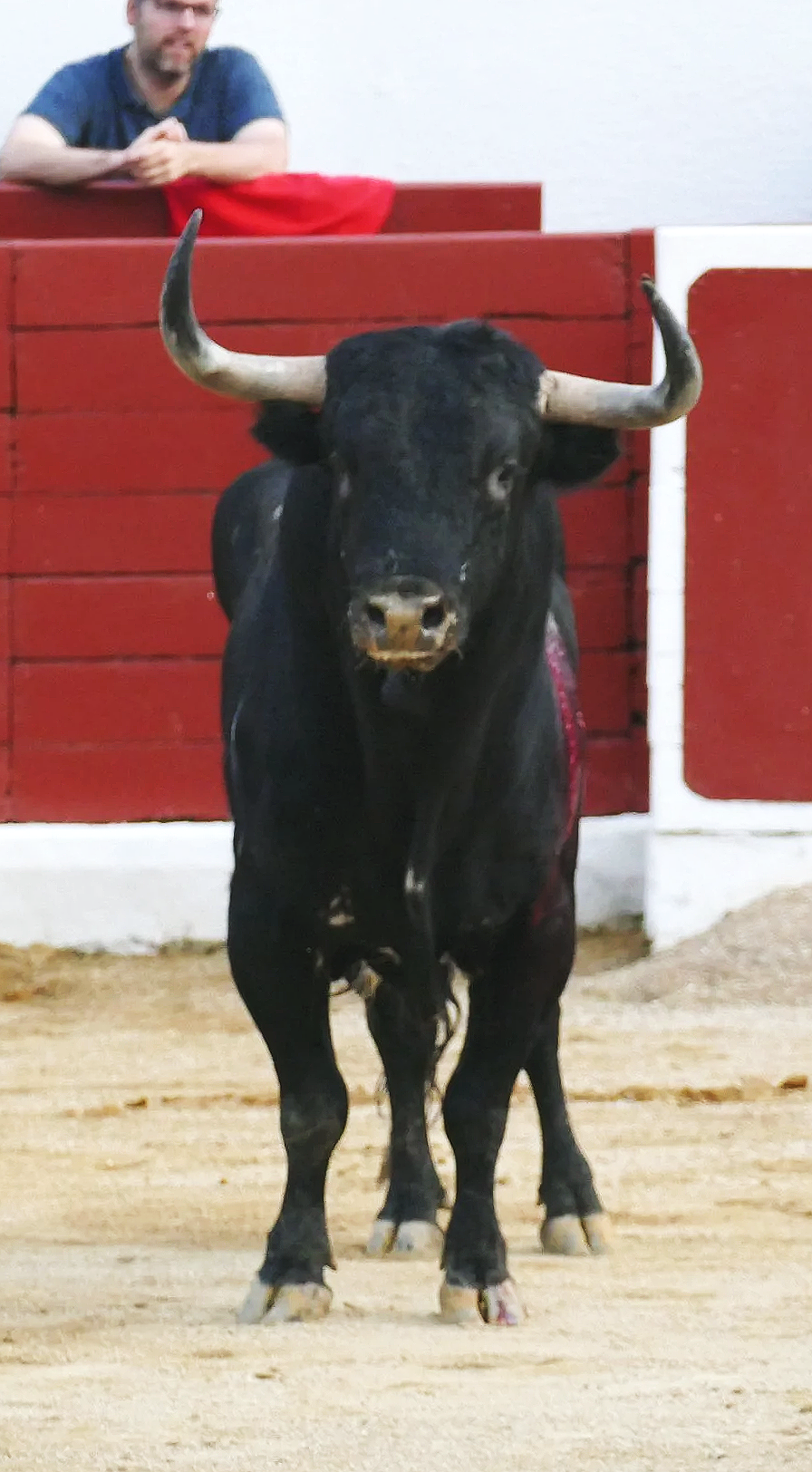 Orthez, July 27: An epic desafío