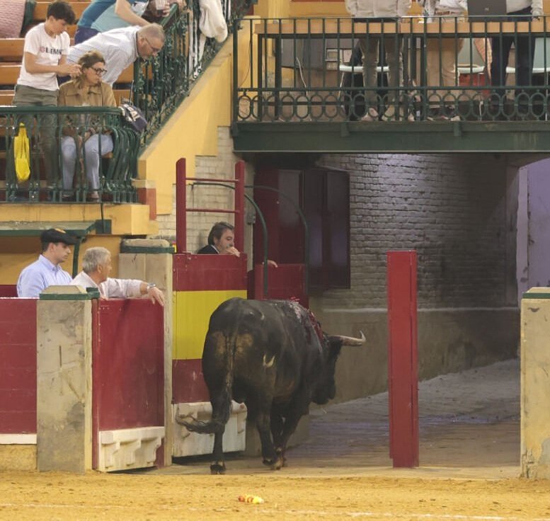 Scandal at Zaragoza
