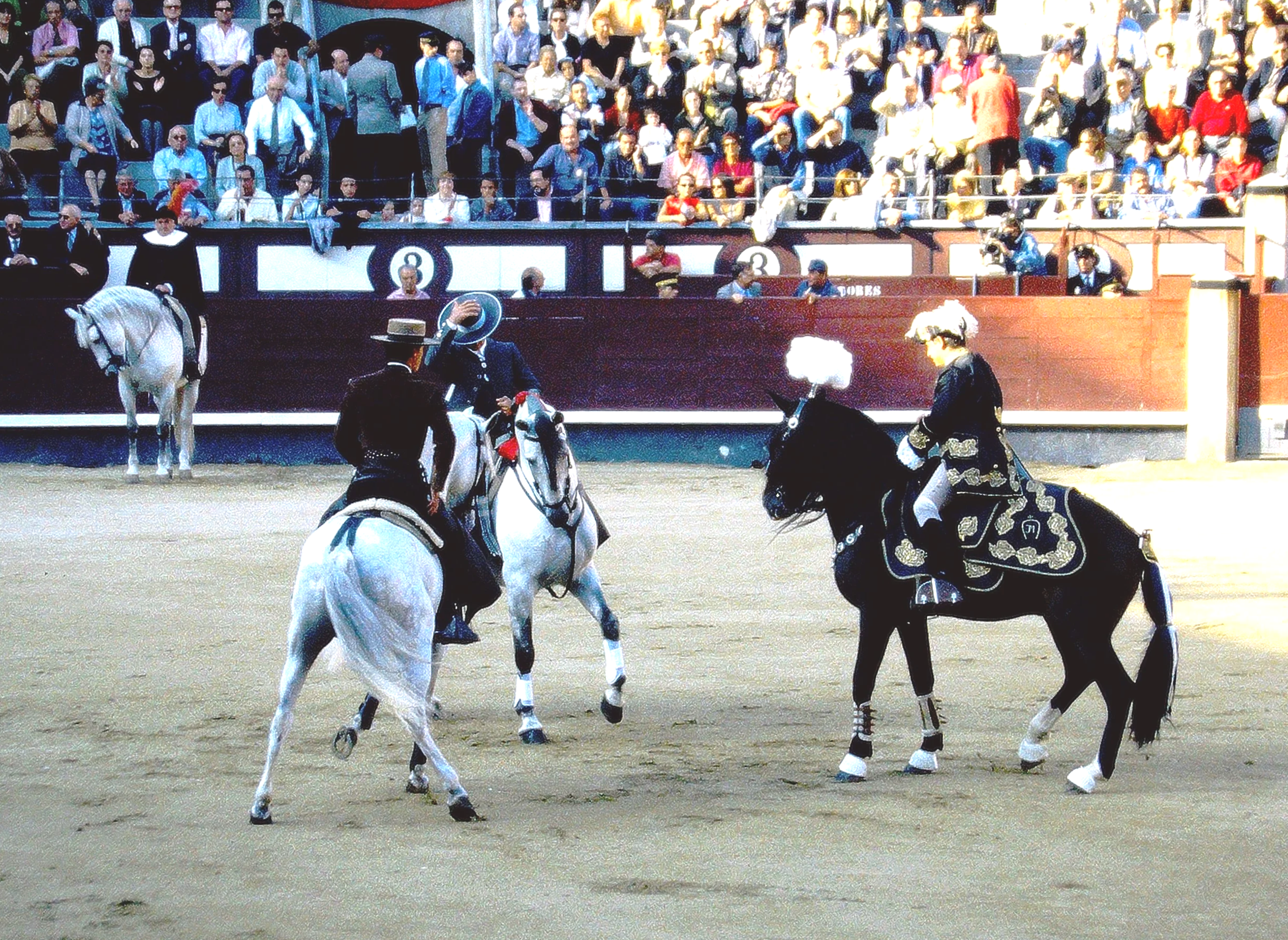 Corridas de rejones in crisis