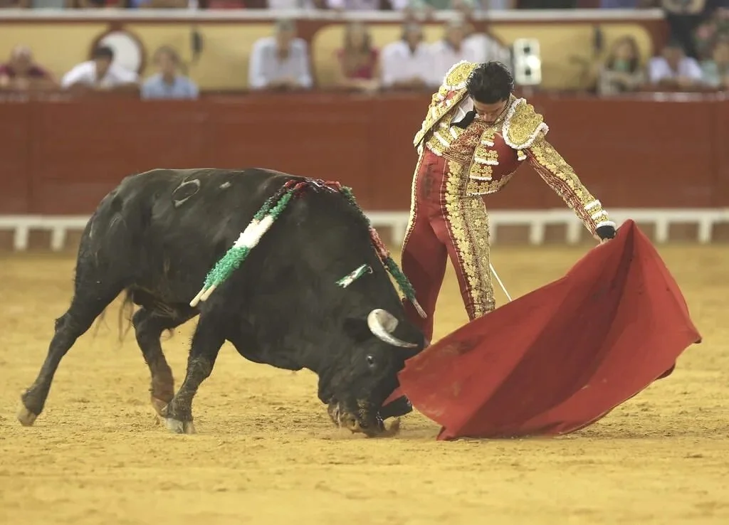 Different views on Álvaro Núñez bulls at El Puerto