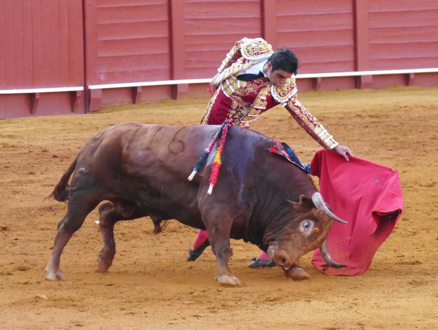 Sevilla, May 6: A descabellado triumph
