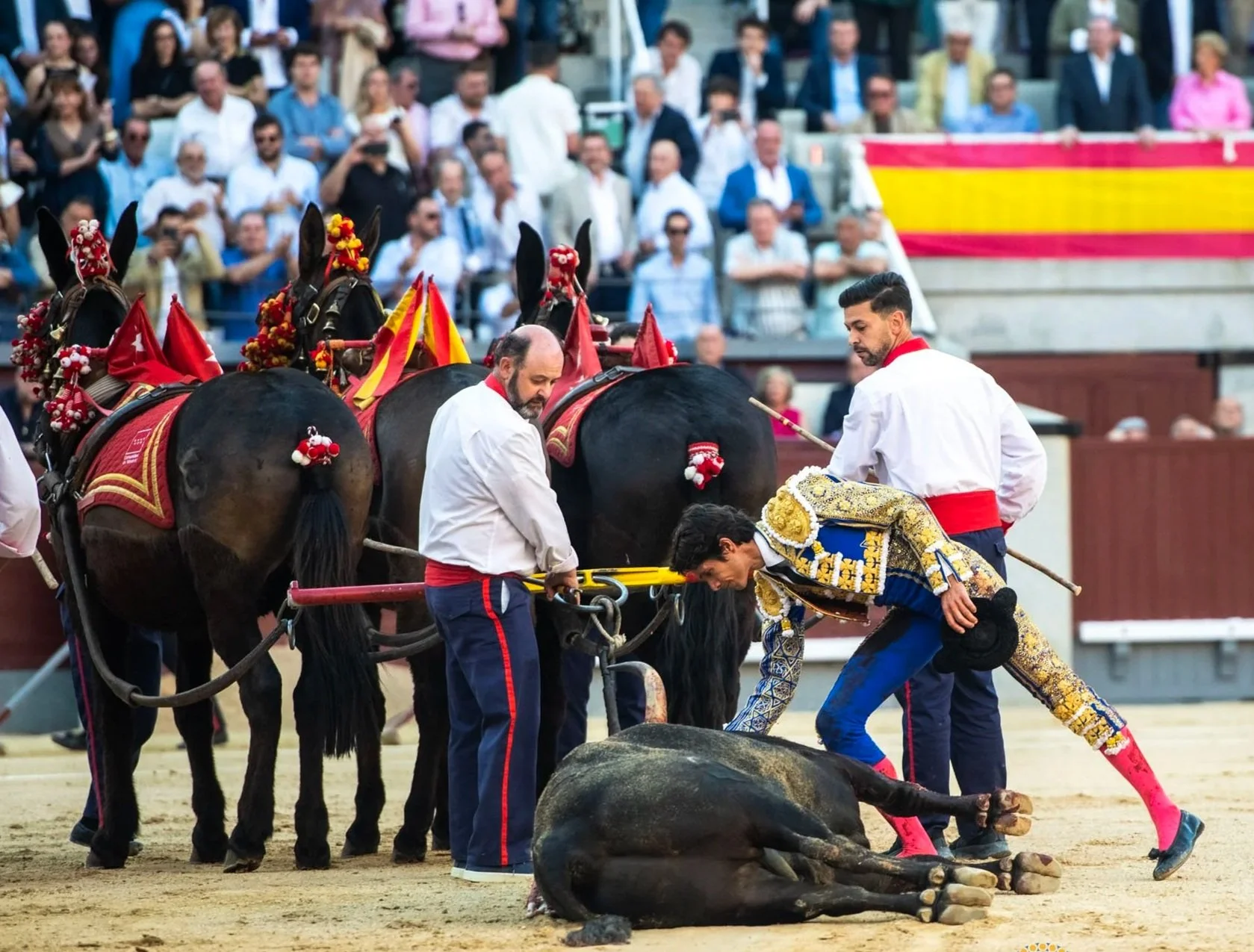 2026 Feria de San Isidro - Week 2
