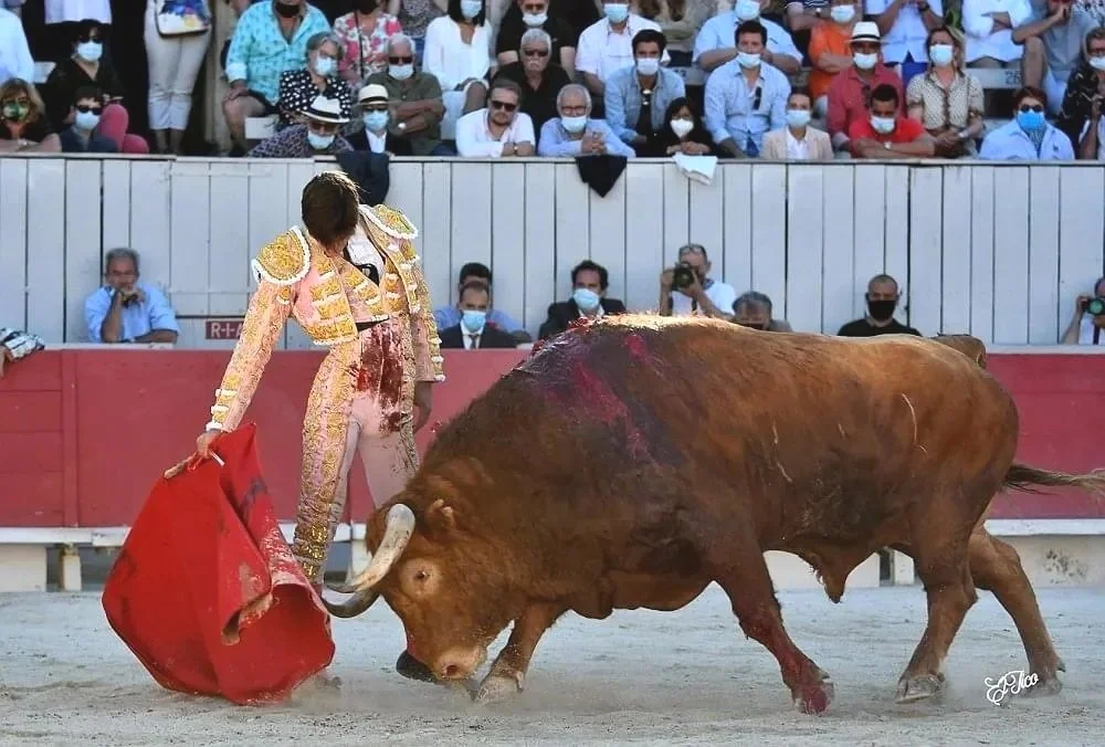 Five taurine gifts at Easter