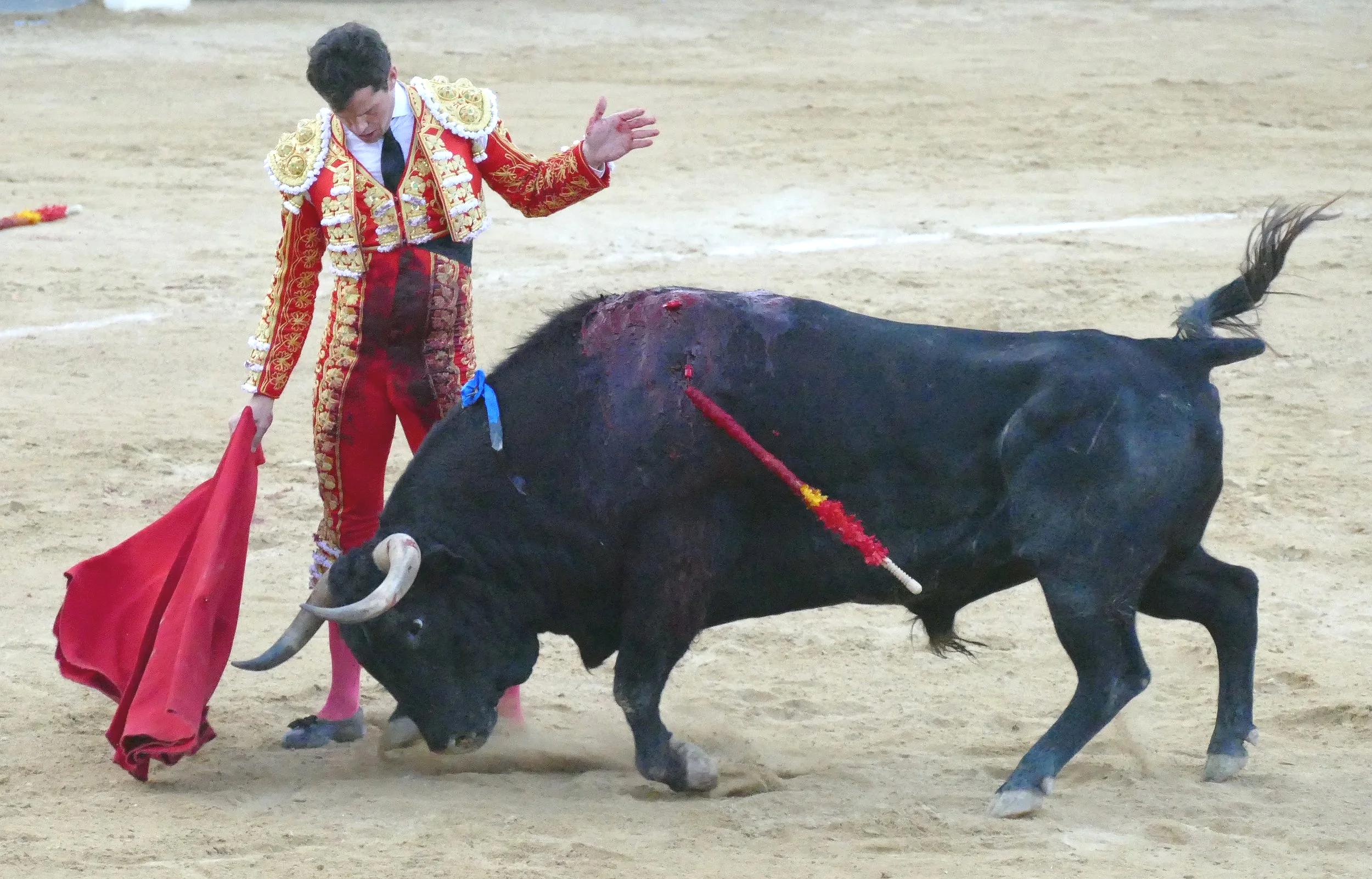 Daniel Luque