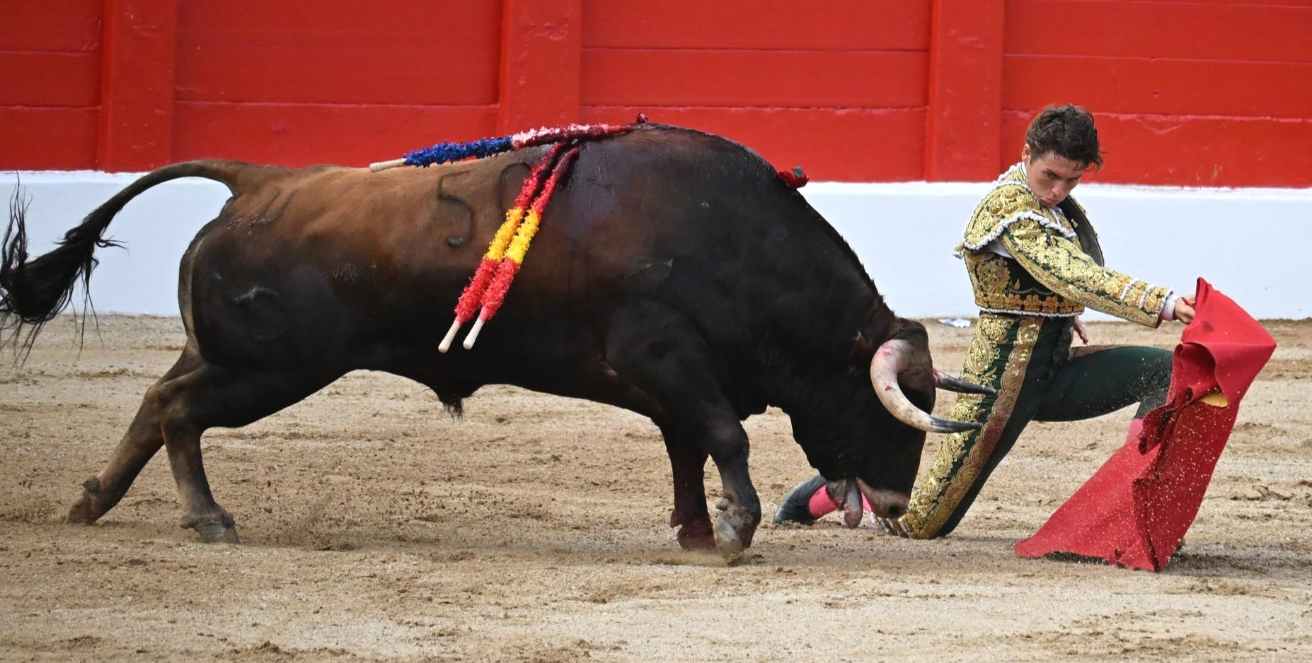 Santander, July 18: Why every major feria should have a novillada