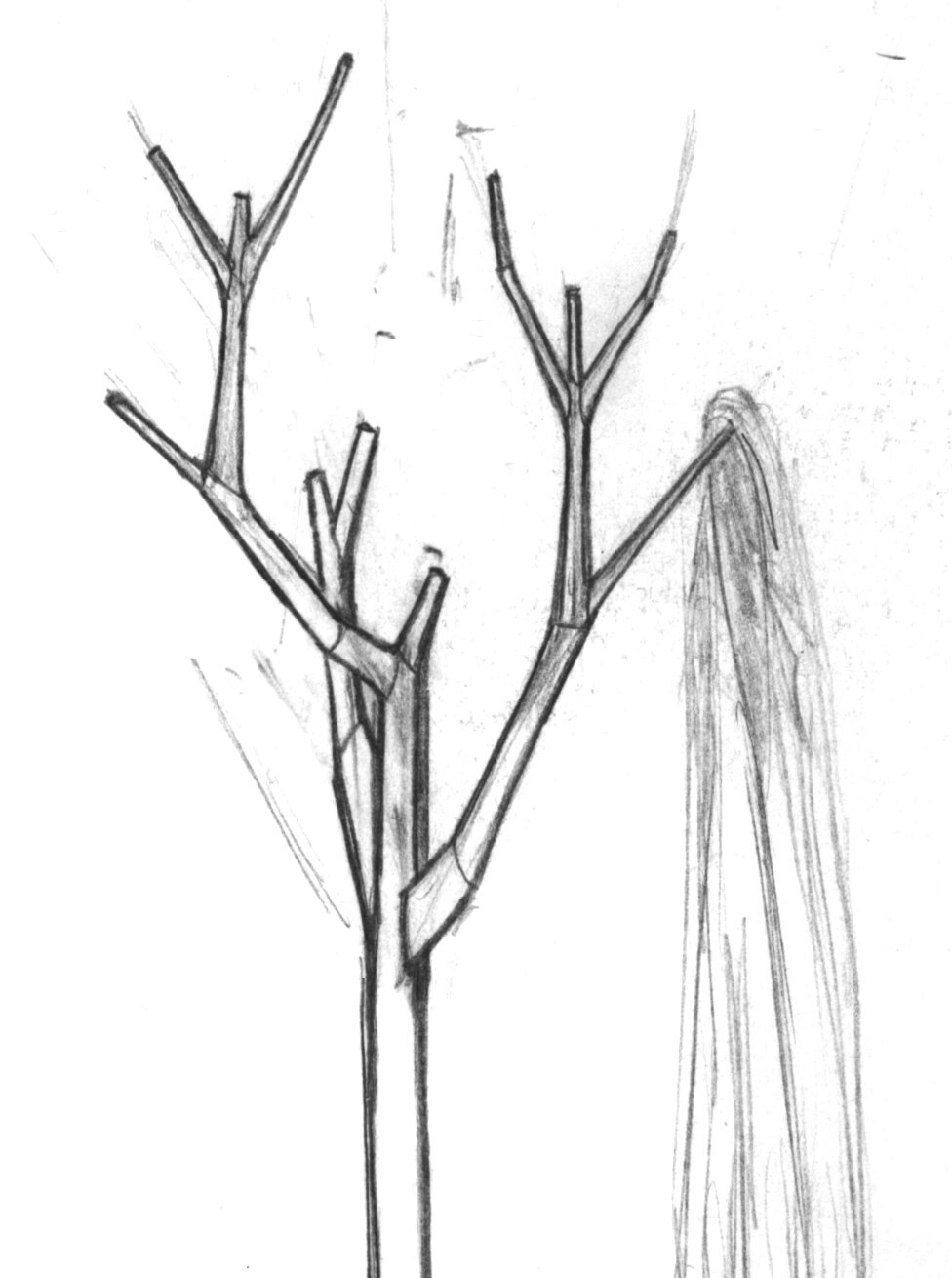 OT Sketch (13).jpg