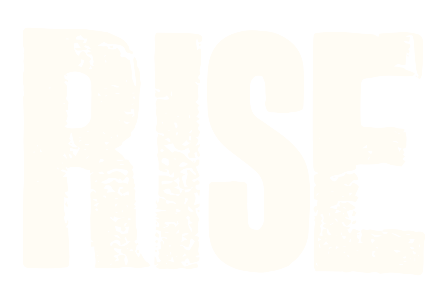 Rise Music Management