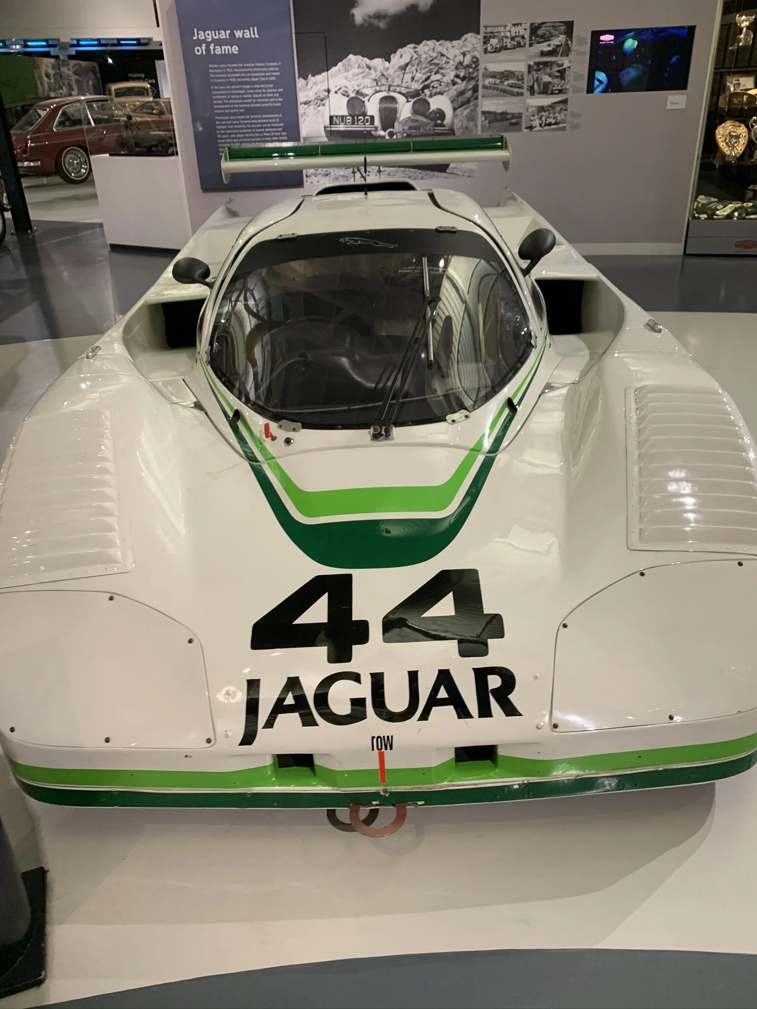 IMG_4691.JPEG