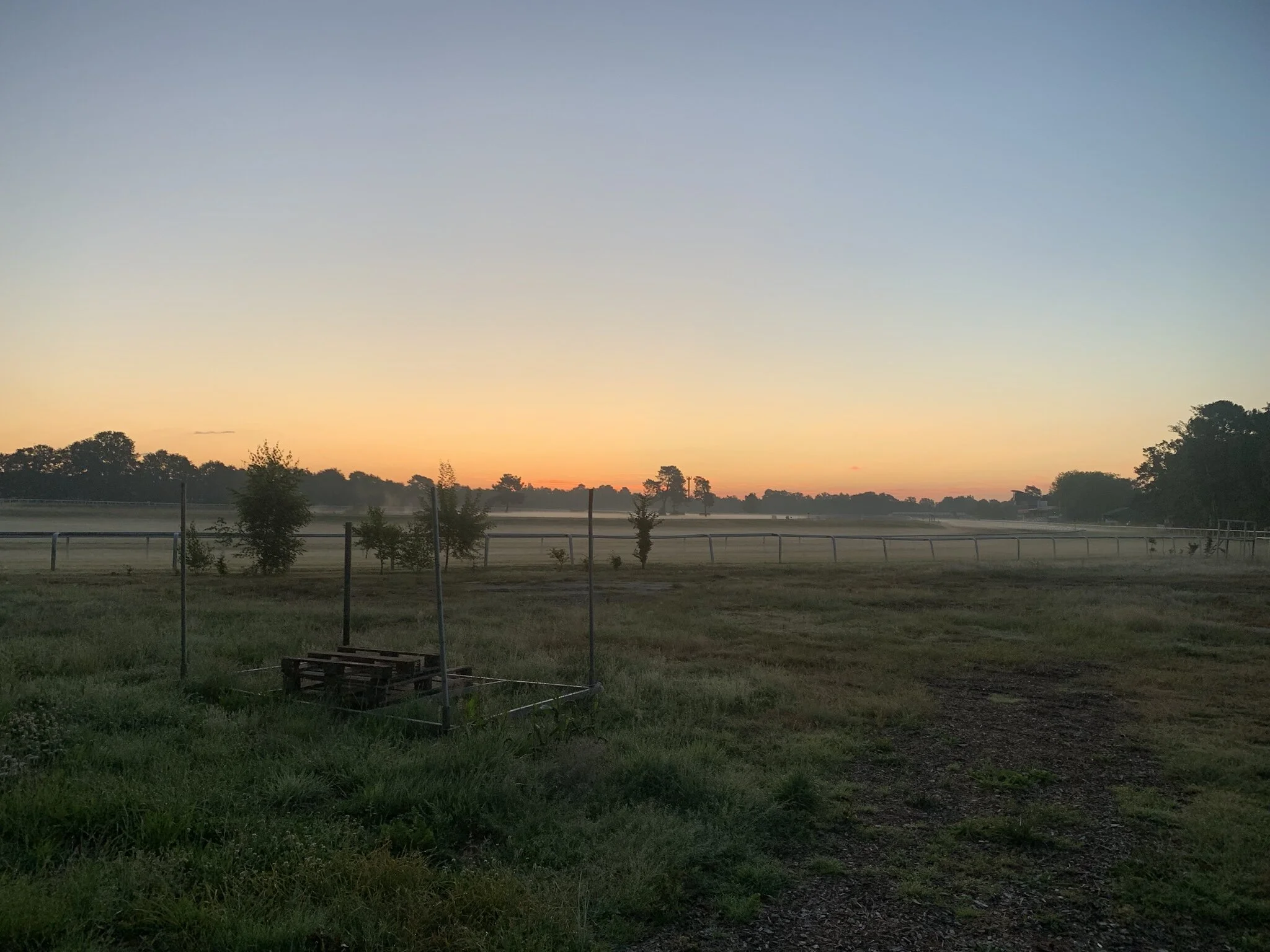 IMG_1271.JPEG