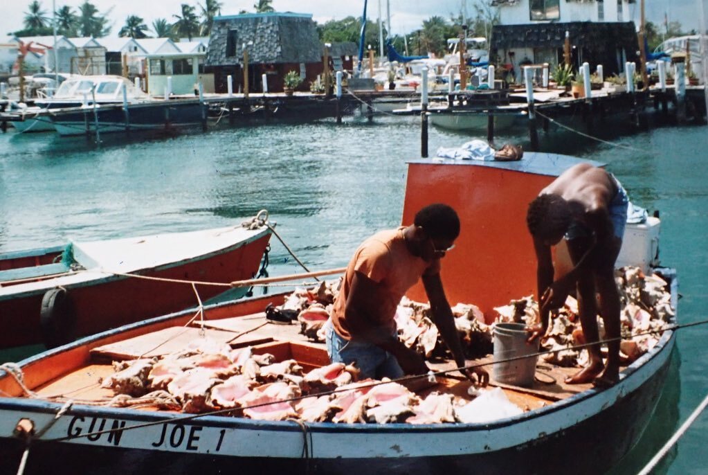 Potter&rsquo;s Cay Dock (1981) taken by John Pitts.

-

#PottersCay #NassauBahamas #OldNassau #NassauDock #Nassau #BahamasArchives #BahaArchives #ForBahamians #ByBahamians #BahamianHistory #CaribbeanHistory #BahamasHistory #TheBahamas #Bahamas #Baham