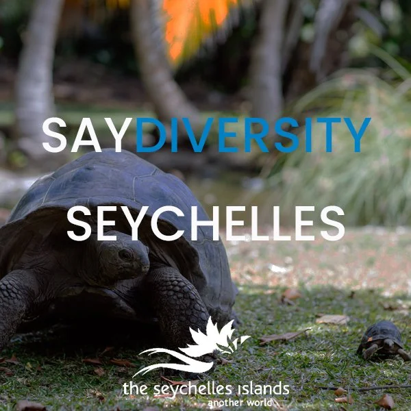 Tourism Seychelles 3.jpg