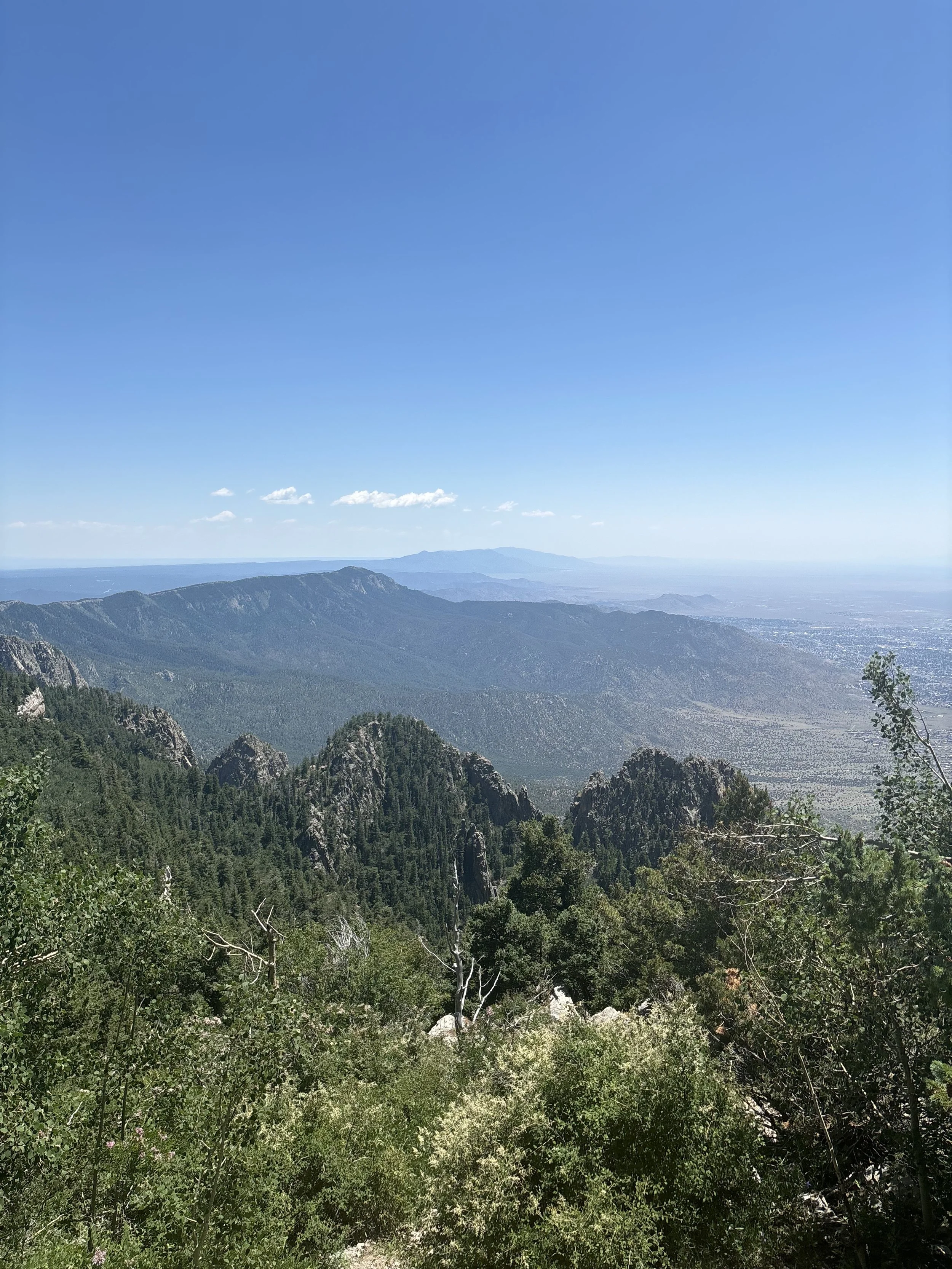 “Chrysalis” One Year Later