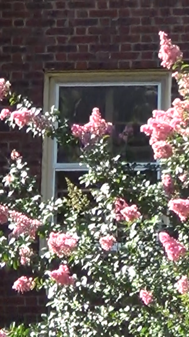 VLOG SUPERCUT THIN.00_01_34_16.Still001.png