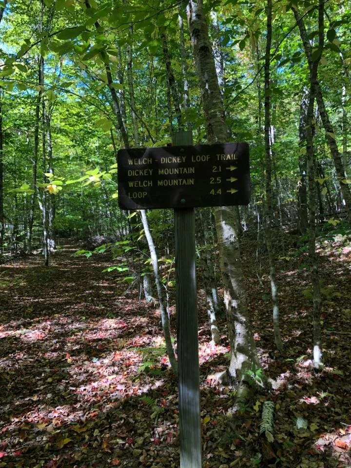 Beautiful 4.4 mile loop - WOULD RECOMMEND!