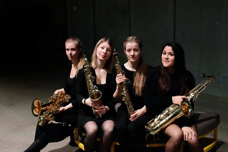 FAMILIE- OG BØRNEKONCERT : “KLASSISK” - Ensemble Eiradís