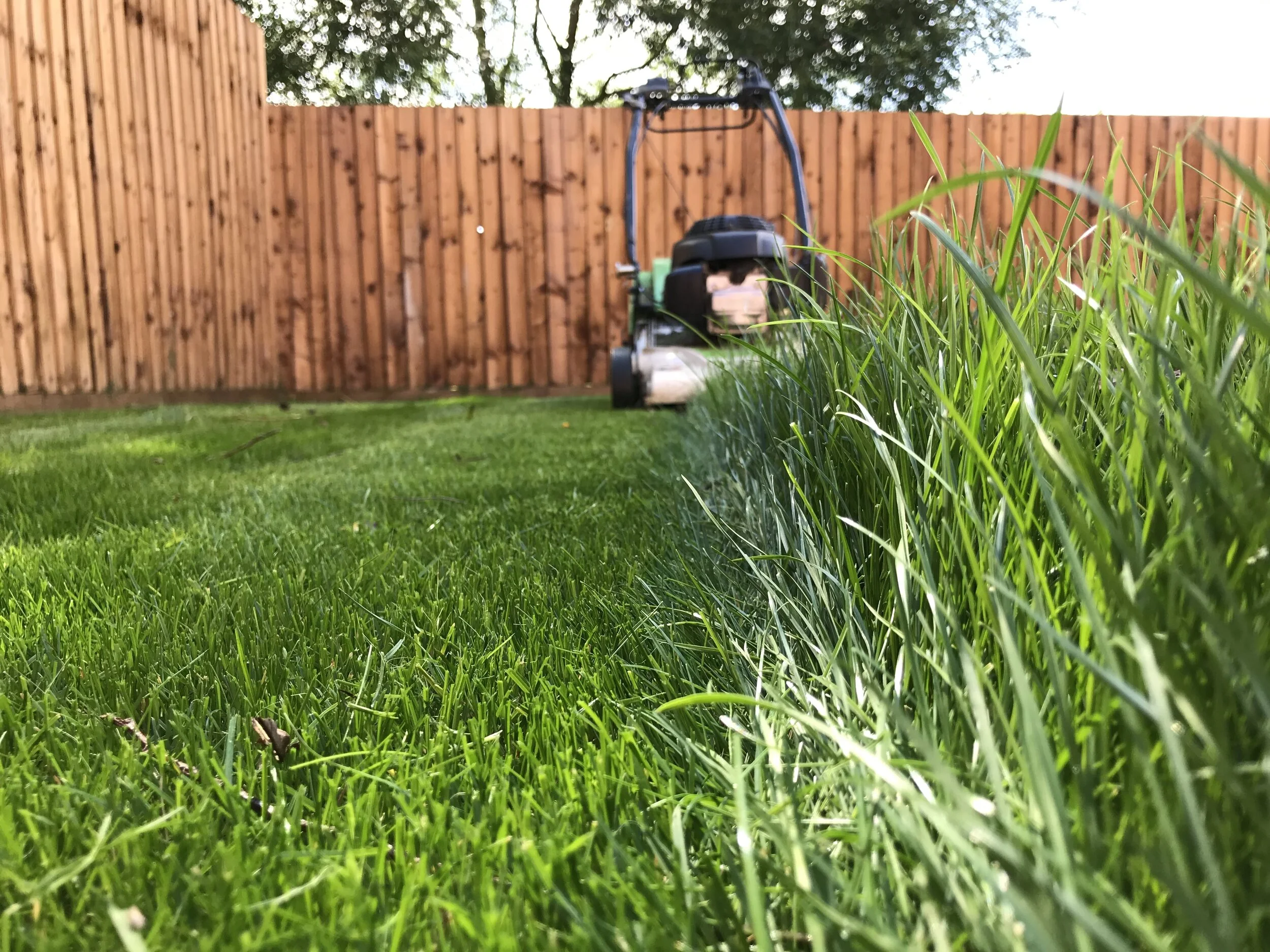 Measure A Lawnmower s Grass Cutting Height What Height To Cut 