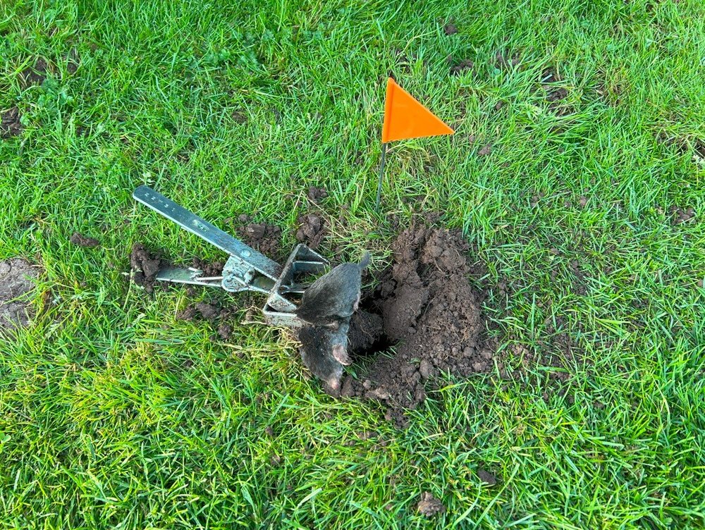 A simple guide to garden moles and how to get rid of them.