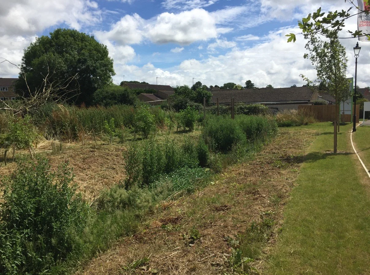 What is the best insect repellent in the UK without DEET?