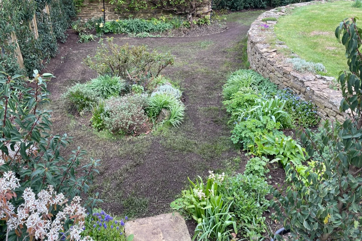 The complete guide to lawn grass seed.