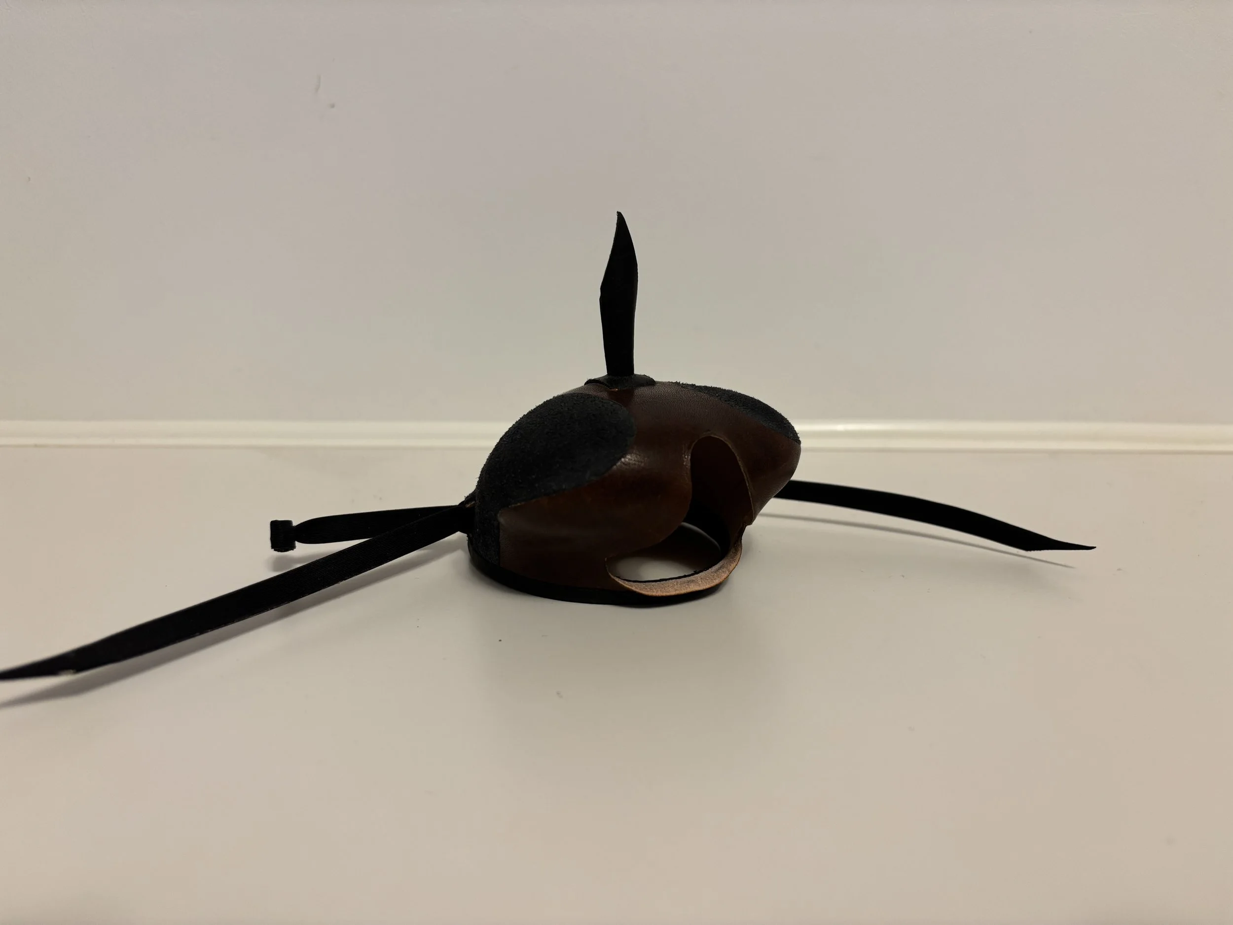 Hawkeye Hood, Bonded - #21 Male Redtail