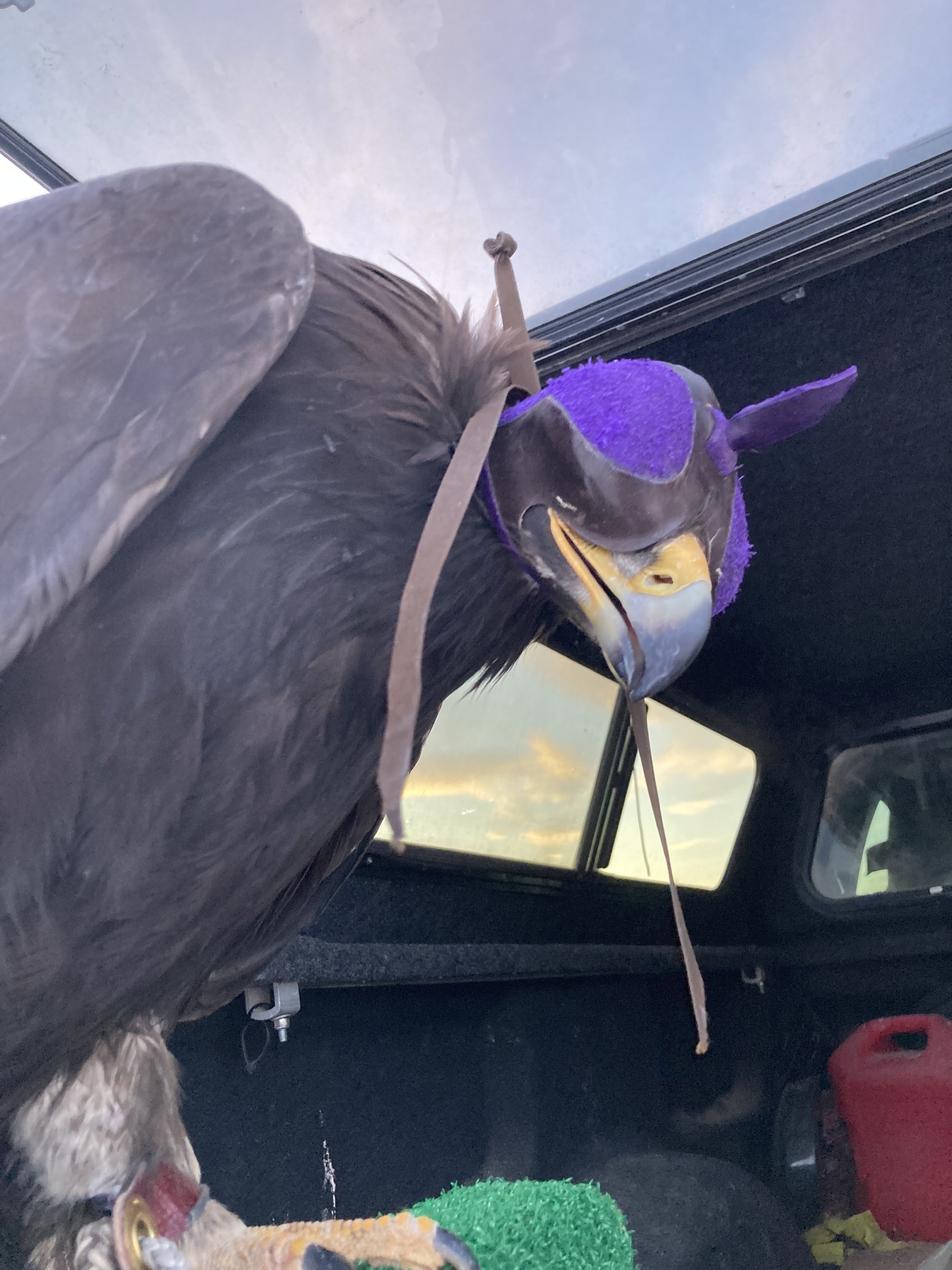 6F063346-C5F0-4856-BFA6-19D899F8D207.jpeg