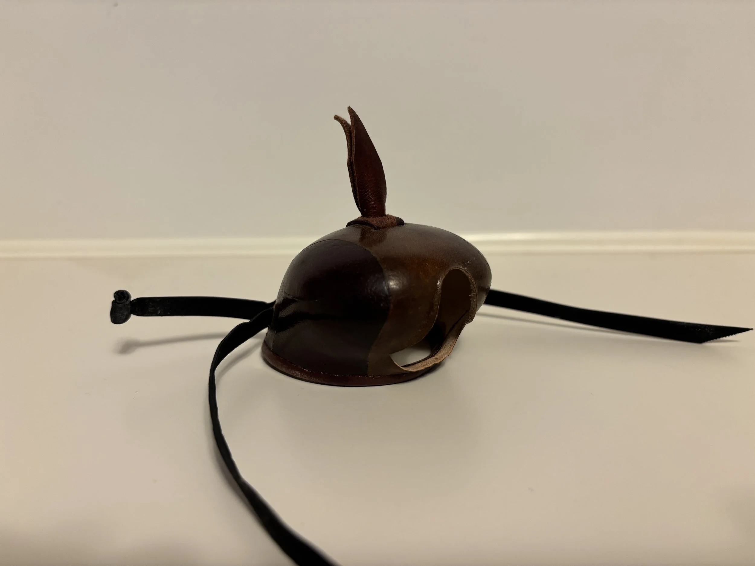 Bonded Dutch- #13.5 Male Peregrine