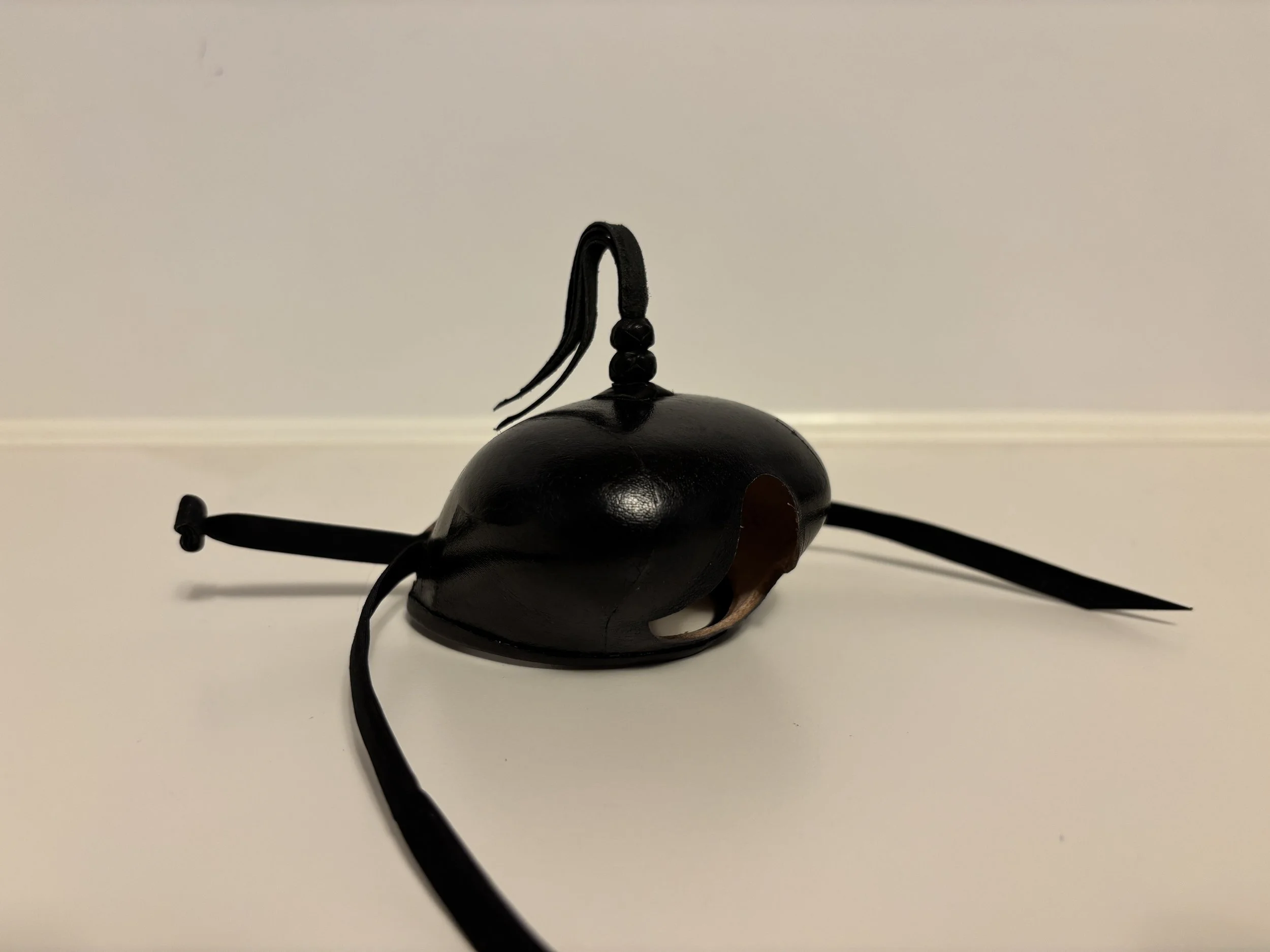 Bonded Dutch - Male Gyr (#19)