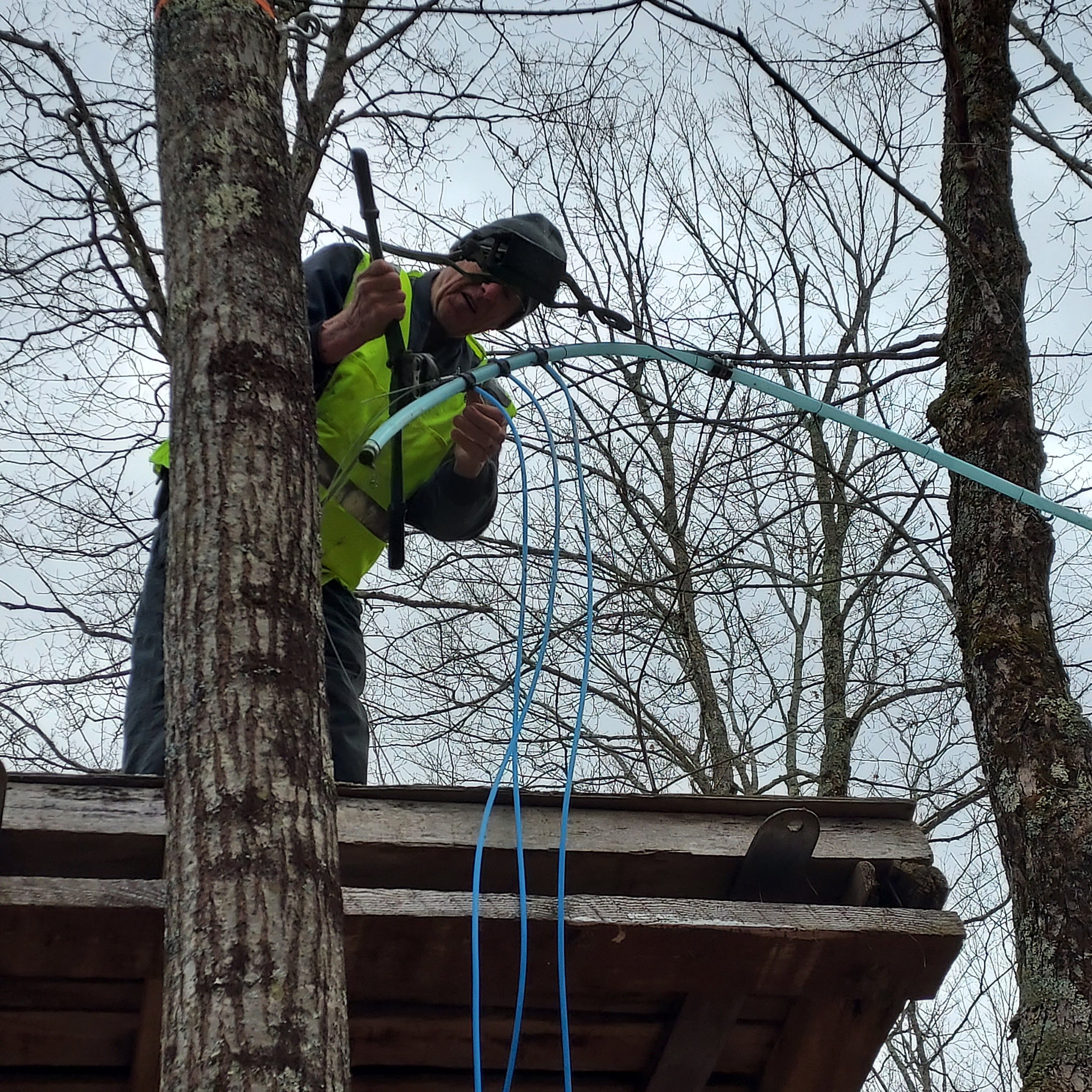 Sugar Season Already??