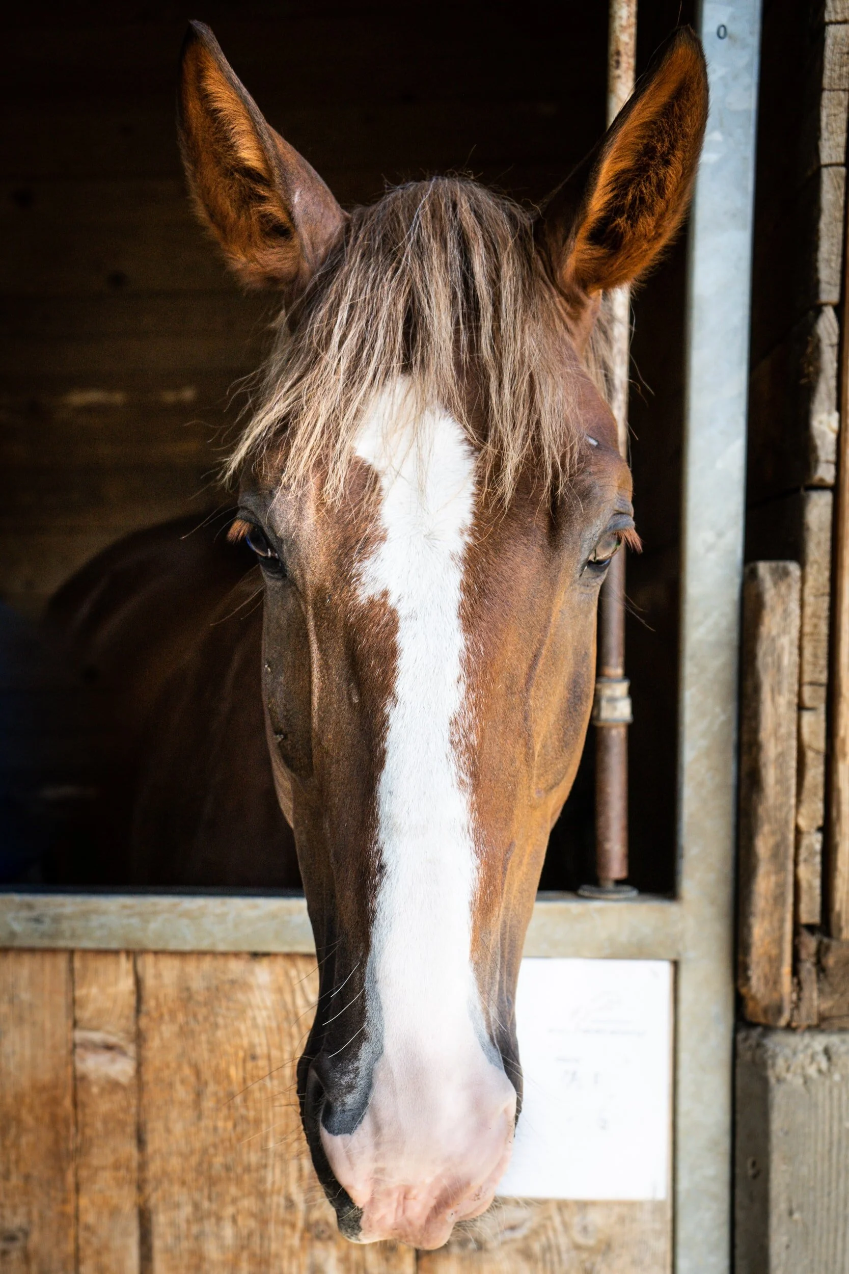 Kier's Version of Where to Find Joy