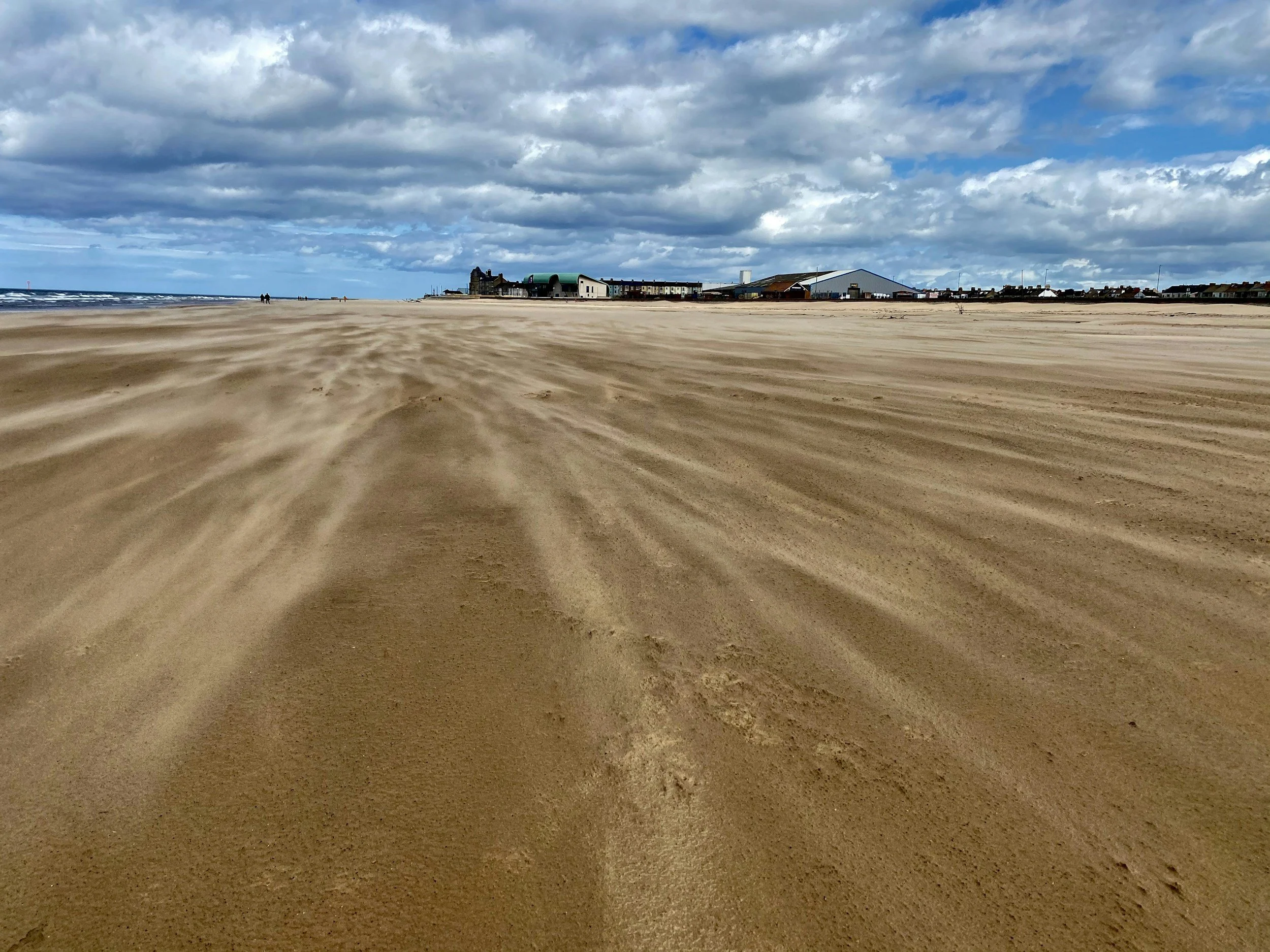 Windswept