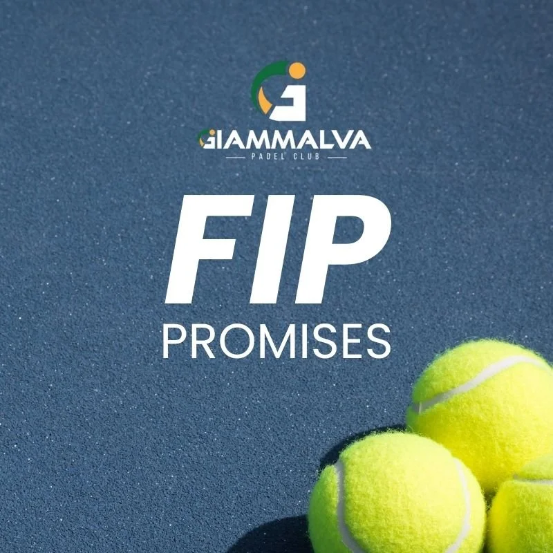 FIP Promises