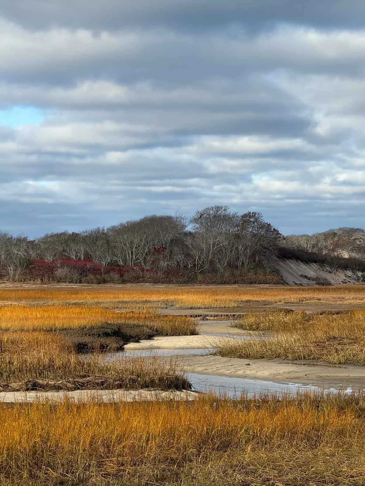 Salt-Marsh-Ptown-3.jpg