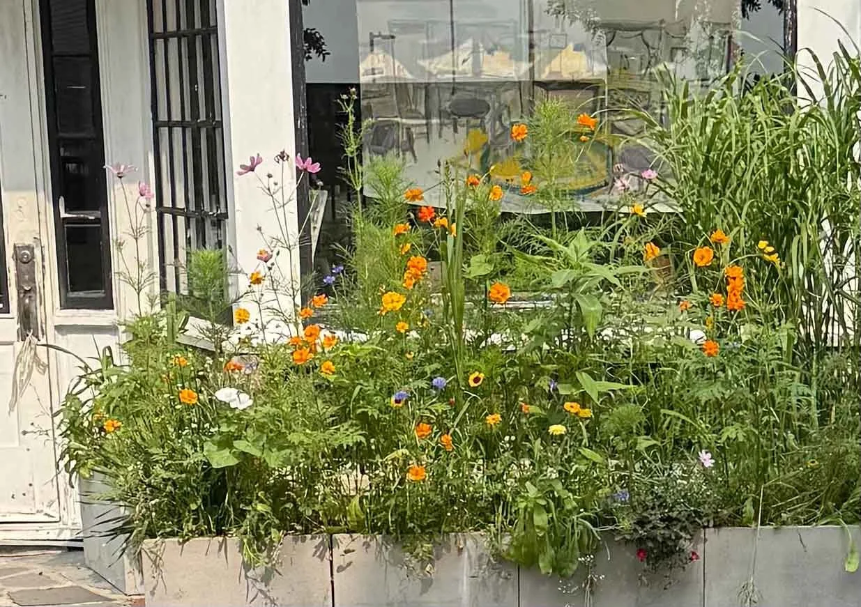 Sweet-Flowerbox.jpg