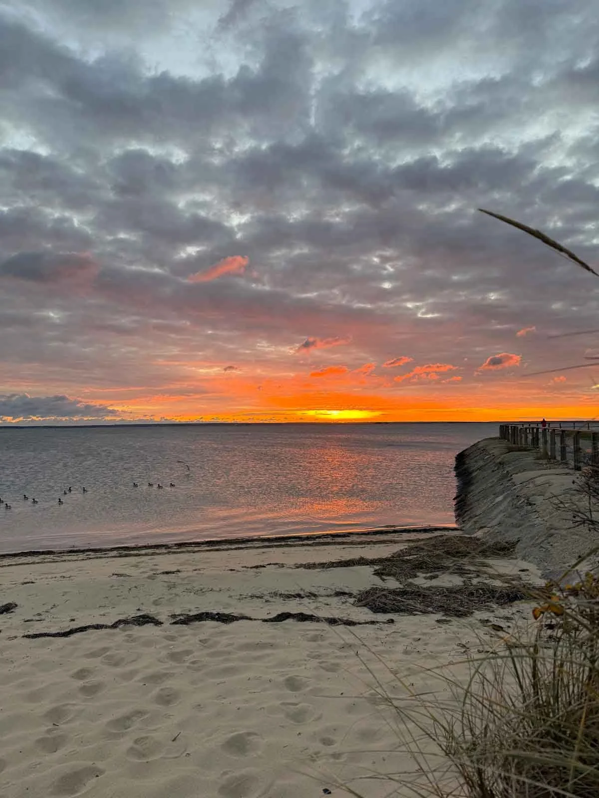 Moody-Sky-Ptown-Harbor.jpg