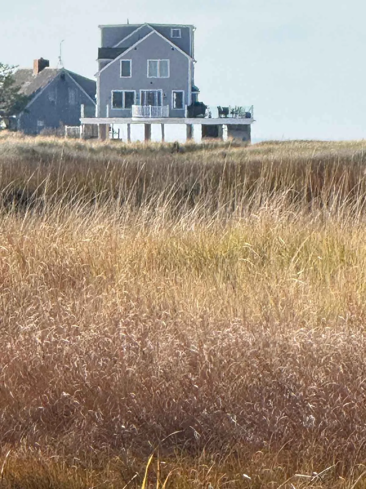 Wellfleet.jpg