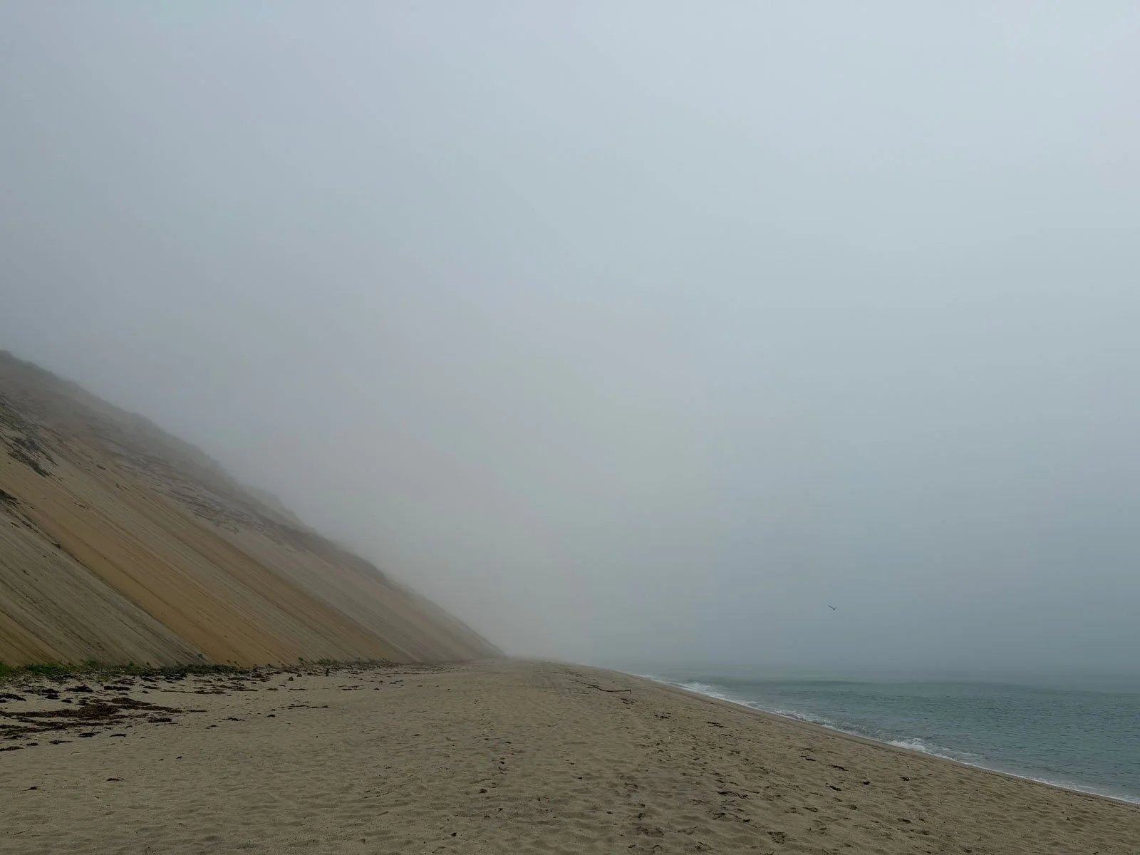 Foggy-Truro-Beach.jpg