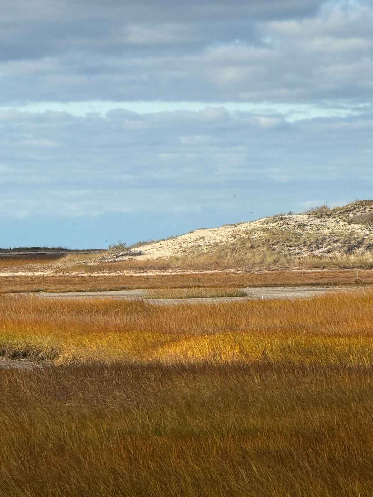 Salt-March-Ptown-2.jpg