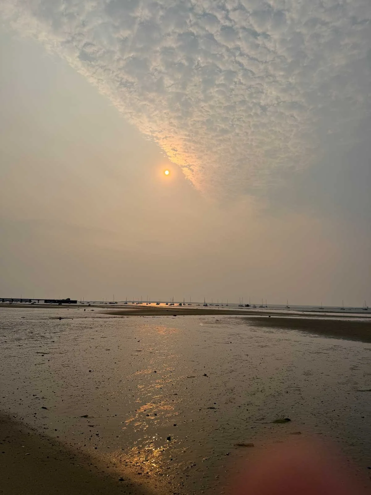 Early-Morning-Ptown-Harbor.jpg