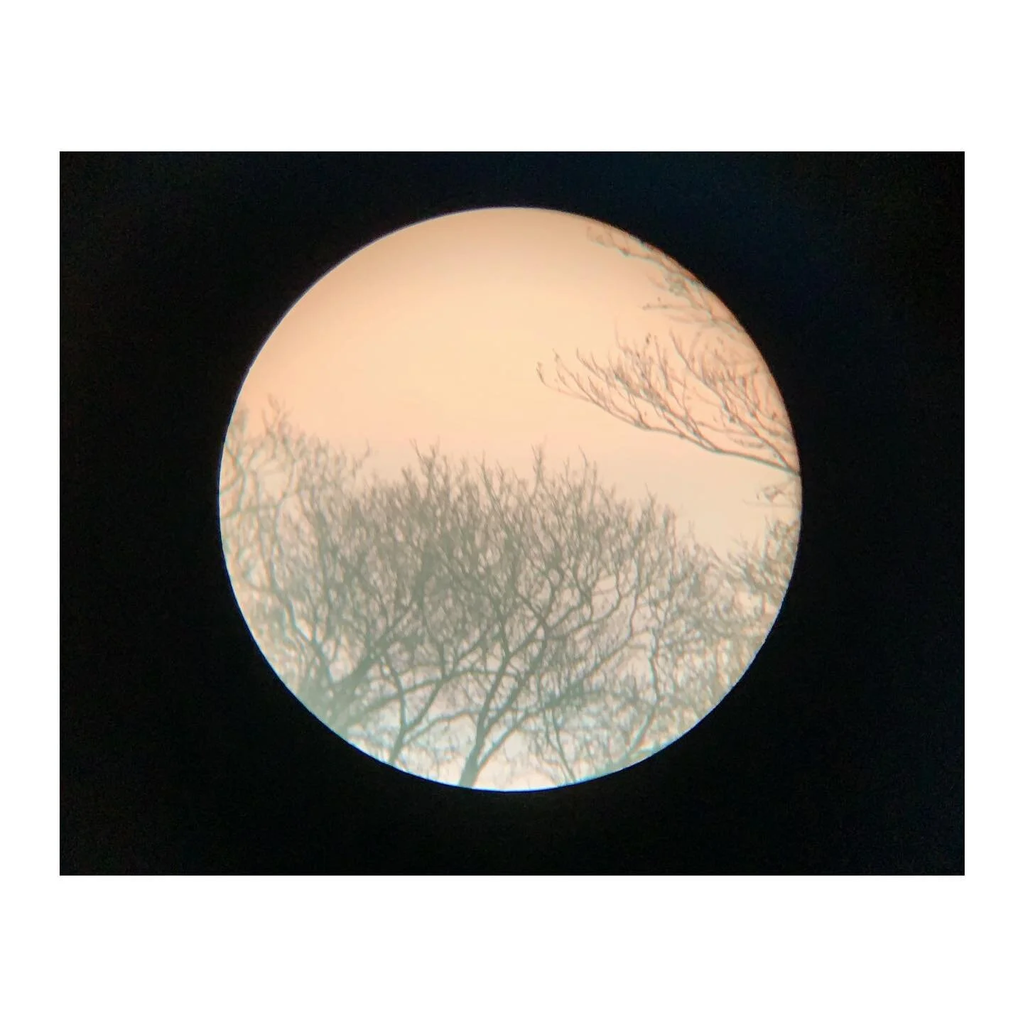 // Instant vol&eacute; //
.
#tempssuspendu#couleurdhiver#tomb&eacute;edujour