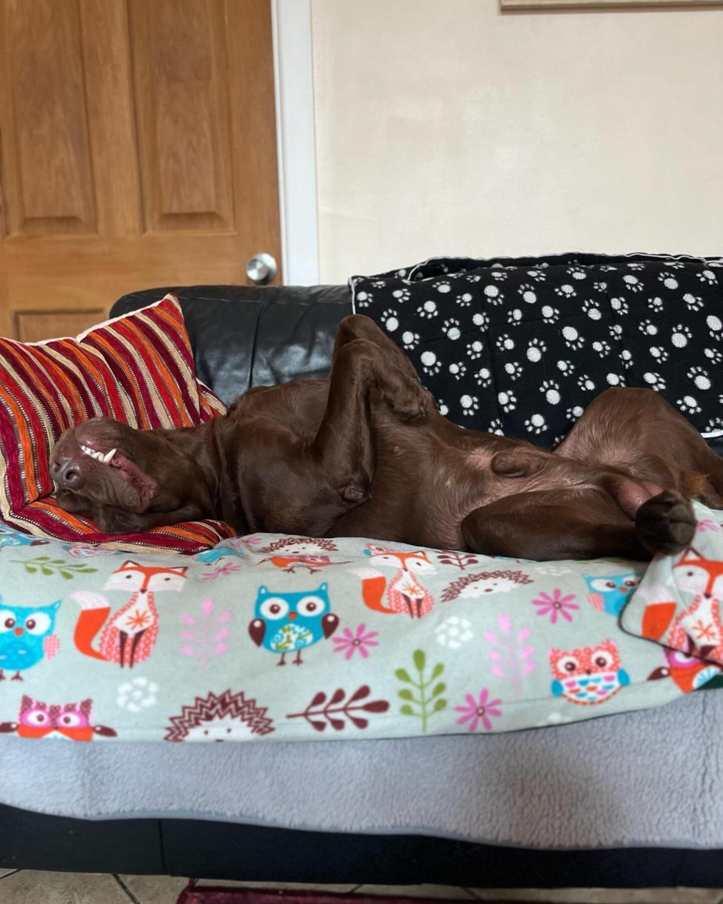 Holiday mode has been activated for Oakley..