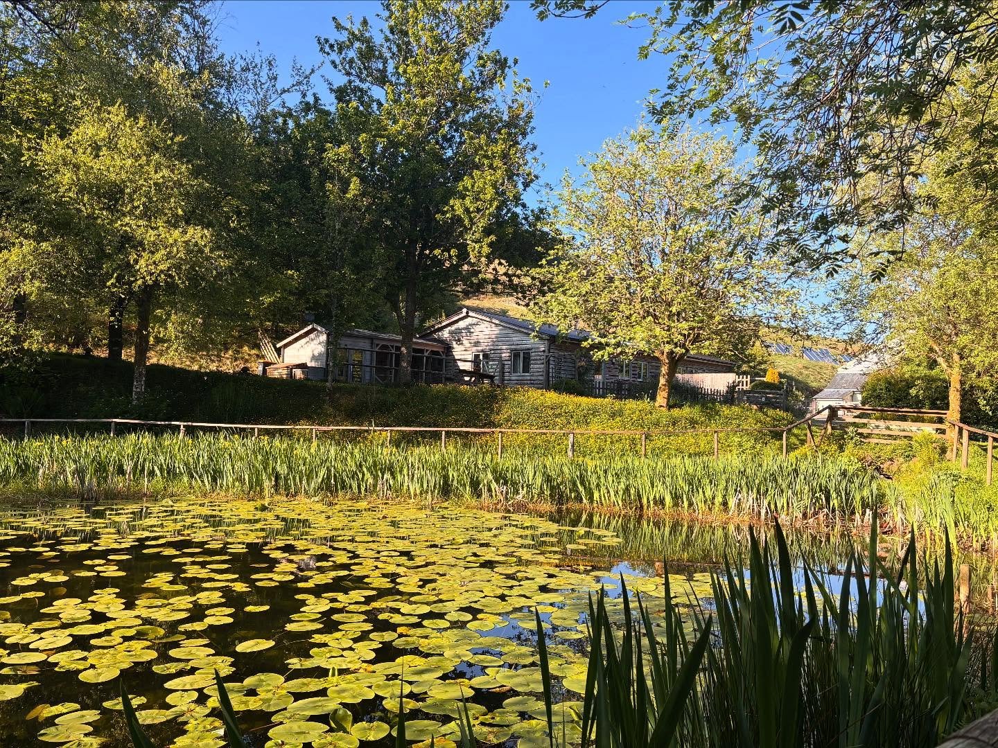 Maintenance week this week. No guests means we get a rare opportunity to enjoy this beautiful slice of heaven. 

I know it looks like we&rsquo;re not doing much maintence here,  but these were some snapshots of our well earned breaks today 😄